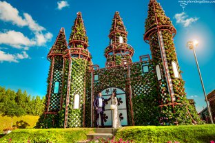 Свадебные фотосессии в Дубай,ОАЭ,фотограф в Дубае Плевако Галина